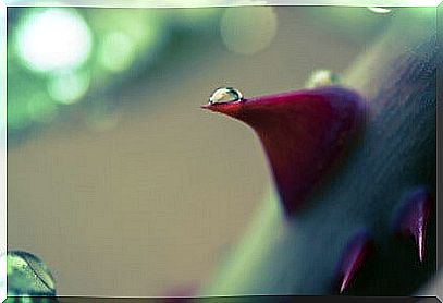 A drop of water