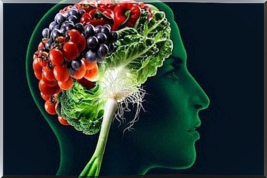 the brain made of food