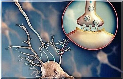 Acetylcholine: a neurotransmitter that promotes neuronal communication