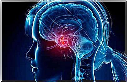 Acetylcholine affects the function of the pituitary gland.