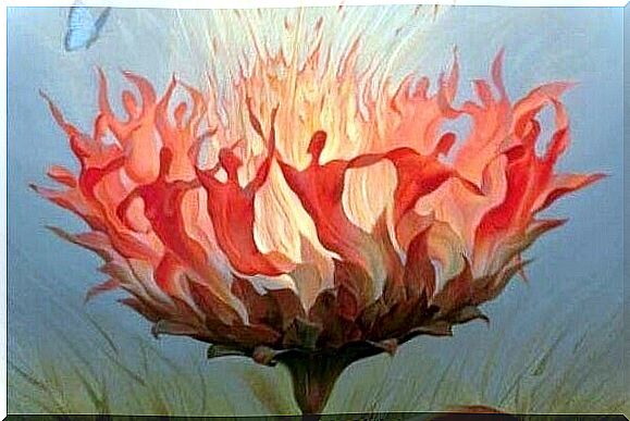 the flower is fire