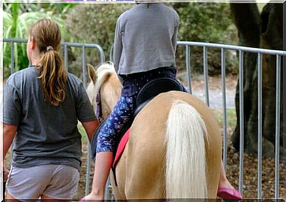 Horse-assisted therapy: benefits and uses