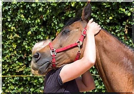 Horse-assisted therapy is suitable for people with any physical or mental disability