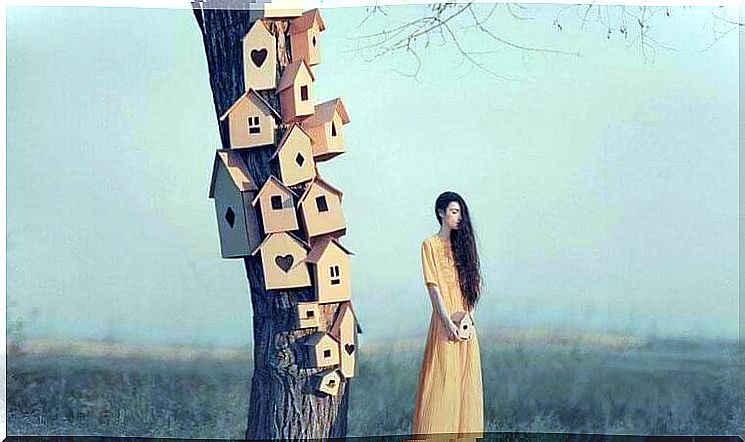 lots of birdhouses