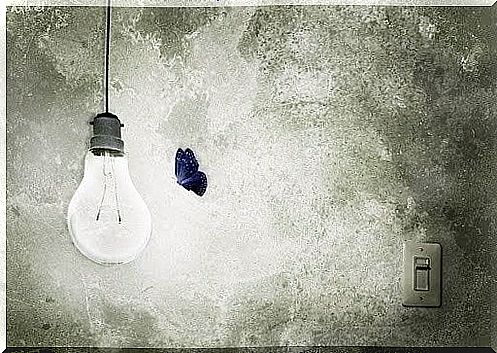 lamp and butterfly