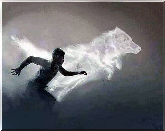 the man runs with the wolf