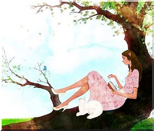 A woman reads in a tree