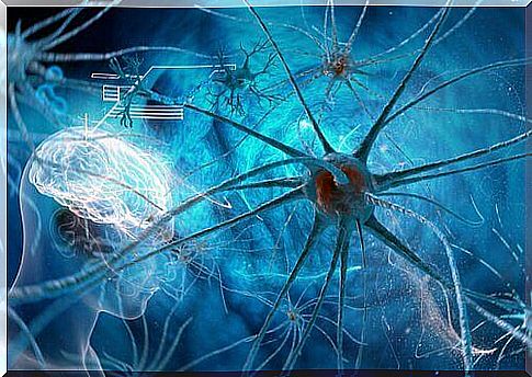 brain and neurons