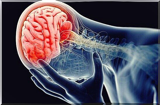 Nerve inflammation or inflammatory theory causing depression