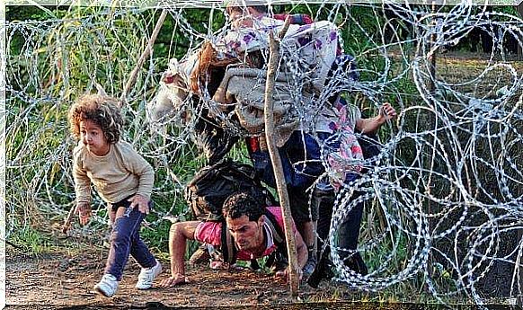 refugees fall below the fence