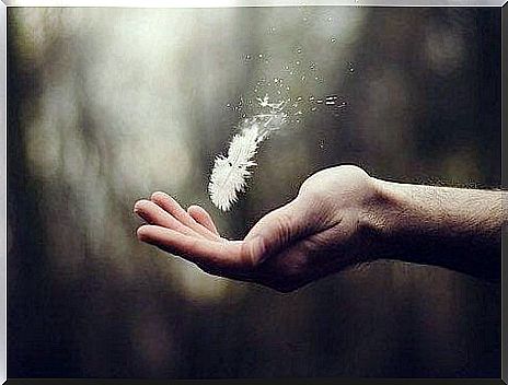 the feather falls on the palm