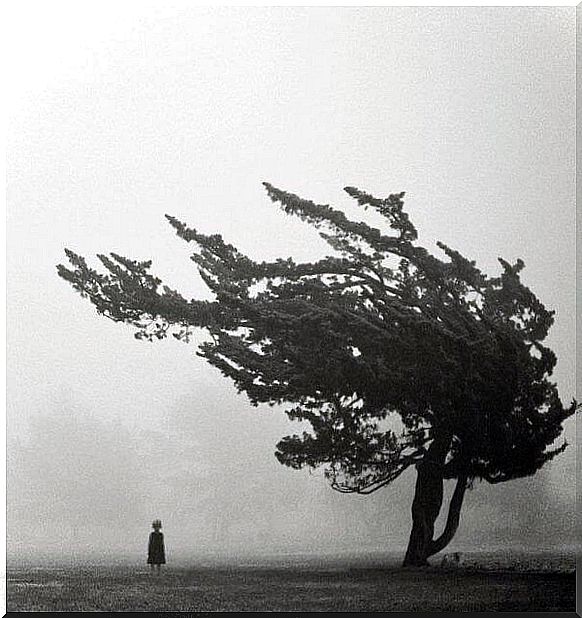 tree and girl