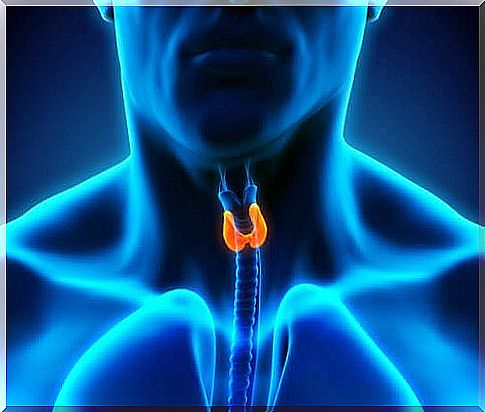 stress and hyperthyroidism are interrelated