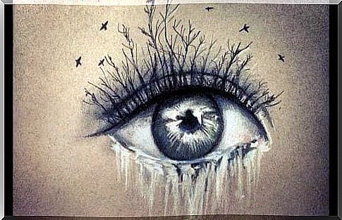 tears and birds