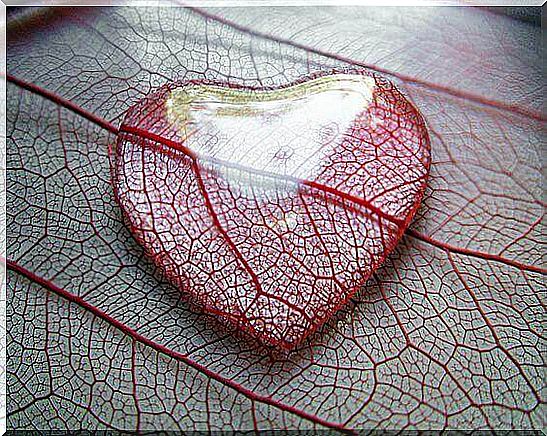 heart and fragile leaf